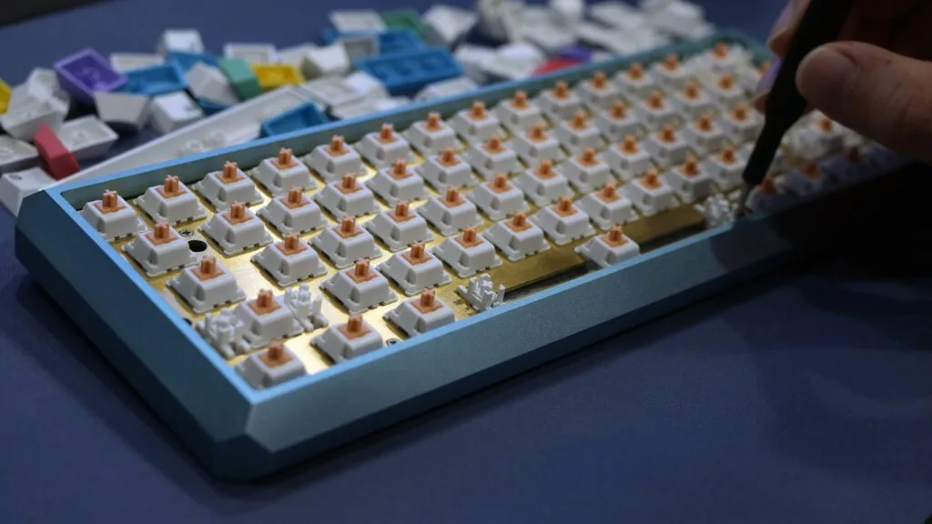 Keyboard assembly with switches being screwed back into the case after a foam mod