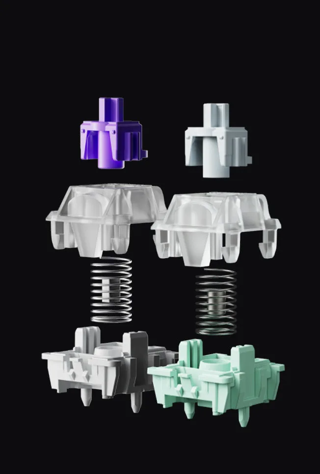 Exploded view of two Gateron double-rail magnetic switches showing stem, housing and spring